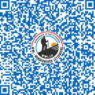 auto pedestre eischen 1 aeischen 1